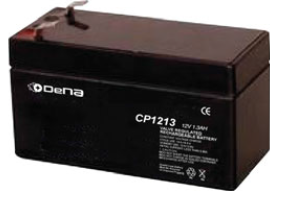 DeNA CP1213